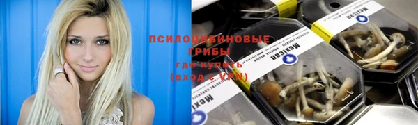 PSILOCYBIN Аркадак