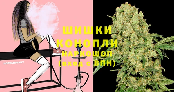 PSILOCYBIN Аркадак