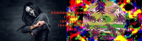 PSILOCYBIN Аркадак