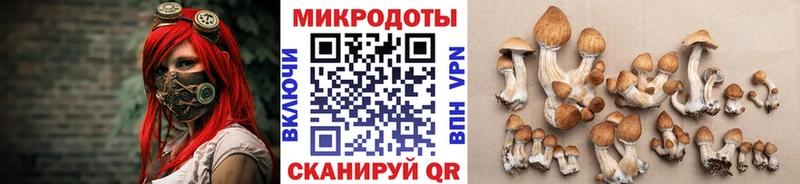 купить наркоту  Волжский  Псилоцибиновые грибы Psilocybine cubensis 