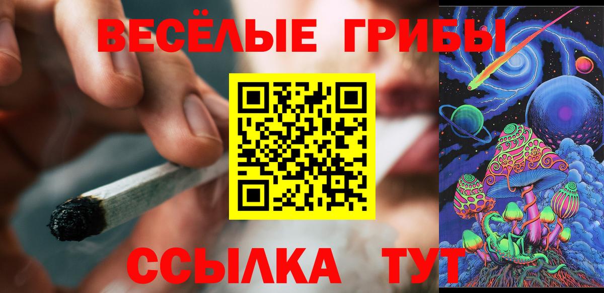 Волжский  Псилоцибиновые грибы Magic Shrooms  Вход с VPN  Галлюциногенные грибы Psilocybine cubensis 