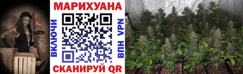 купить закладку  Волжский  Бошки марихуана Bruce Banner 